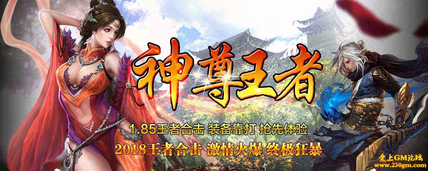 1.85热血王者合击修改版,185传奇热血合击版发布网